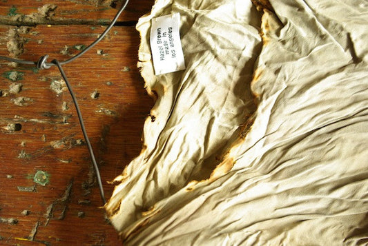 limited run silk blouses burnt neck line and hem